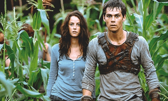 MazeRunner